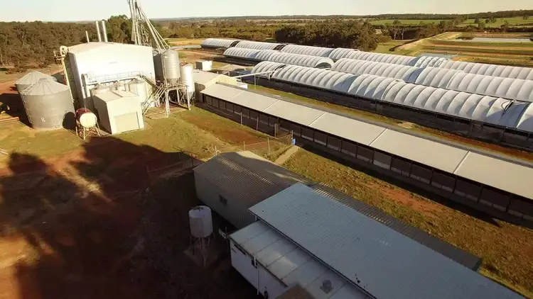 Second view of Homely rural property listing, Narrogin Piggery, 394 Narrakine Rd, Narrogin WA 6312