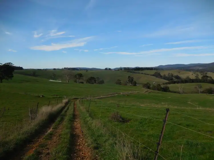 Seventh view of Homely rural property listing, 31315 TASMAN HIGHWAY, Winnaleah TAS 7265