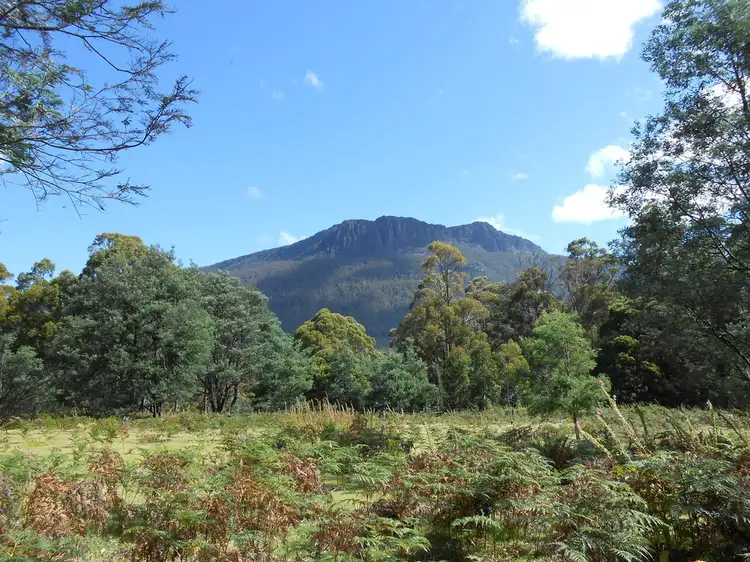 90 Gulf Road, Liffey TAS 7301