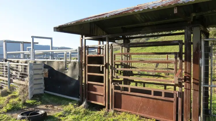 Third view of Homely rural property listing, Pt Myrtlevale Upper Rouchel Rd, Aberdeen NSW 2336