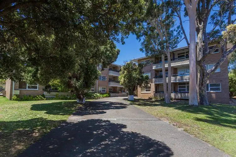 Main view of Homely unit listing, 3/290 Stirling Street, Perth WA 6000