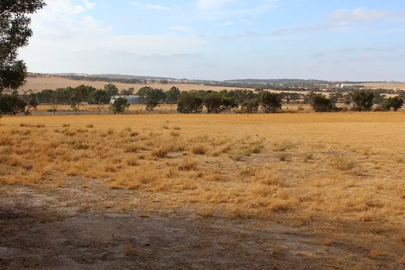 Main view of Homely land listing, 17 Hewett Road, Wongan Hills WA 6603