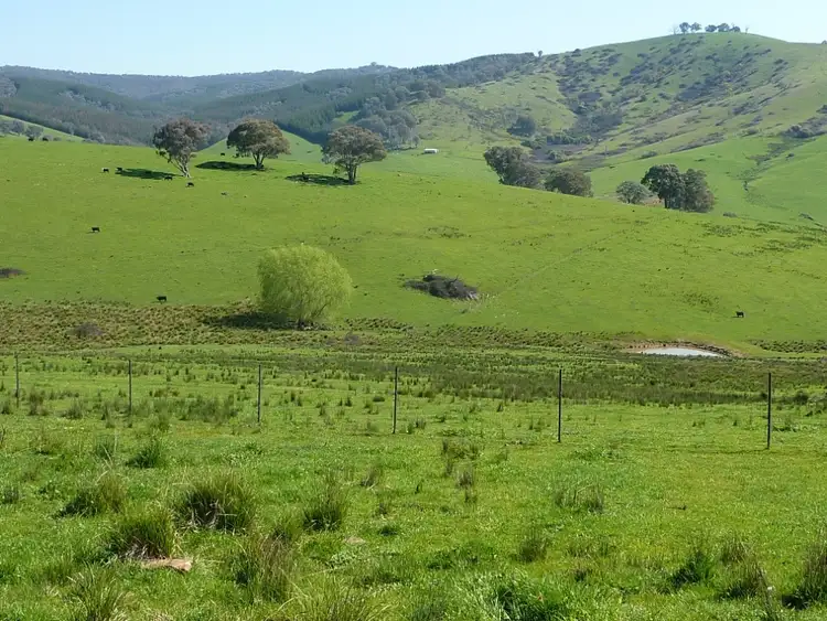 Sixth view of Homely rural property listing, 642 Westbrook Road, Tarcutta via, Wagga Wagga NSW 2650