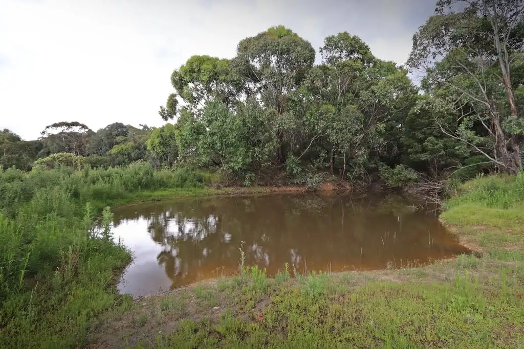 Main view of Homely land listing, 537 Broadleaf Park Road, Rosewood NSW 2652