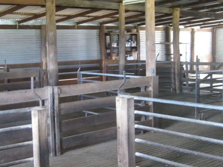 Fifth view of Homely rural property listing, 274 Wilson Road, Mount Barker WA 6324