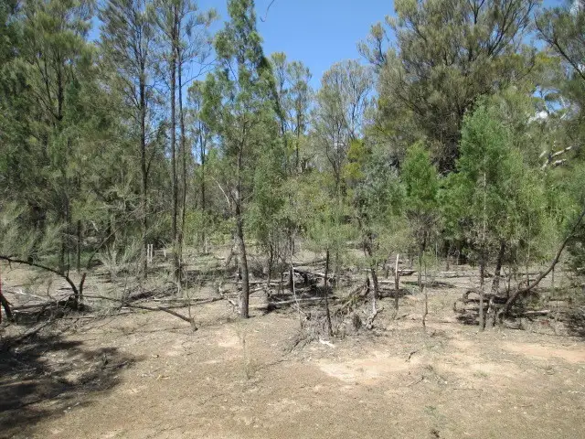 Second view of Homely rural property listing, LOT 91 TIMOTHY ROAD, Tara QLD 4421