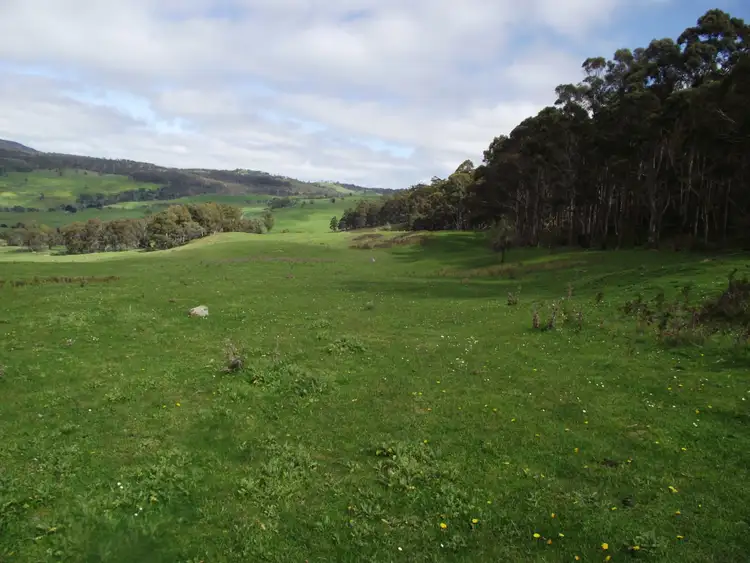Fourth view of Homely rural property listing, 299 Rhyndaston Road, Colebrook TAS 7027