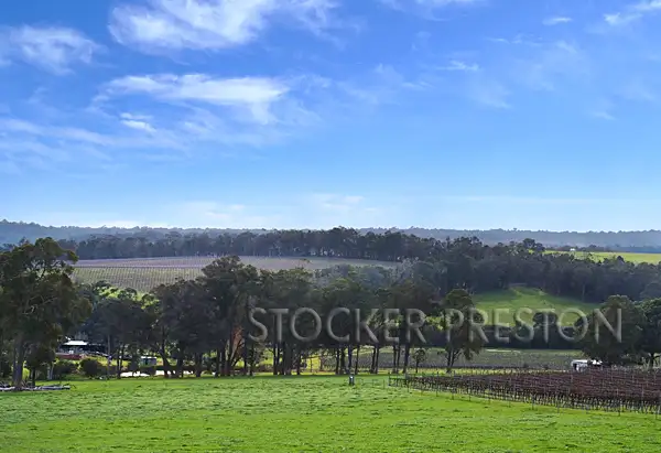 Main view of Homely rural property listing, 13 Mitchell Road, Rosa Brook, Margaret River WA 6285
