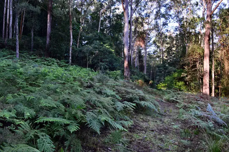 Fifth view of Homely land listing, Lot 2 Cedar Springs Road, Kangaroo Valley NSW 2577