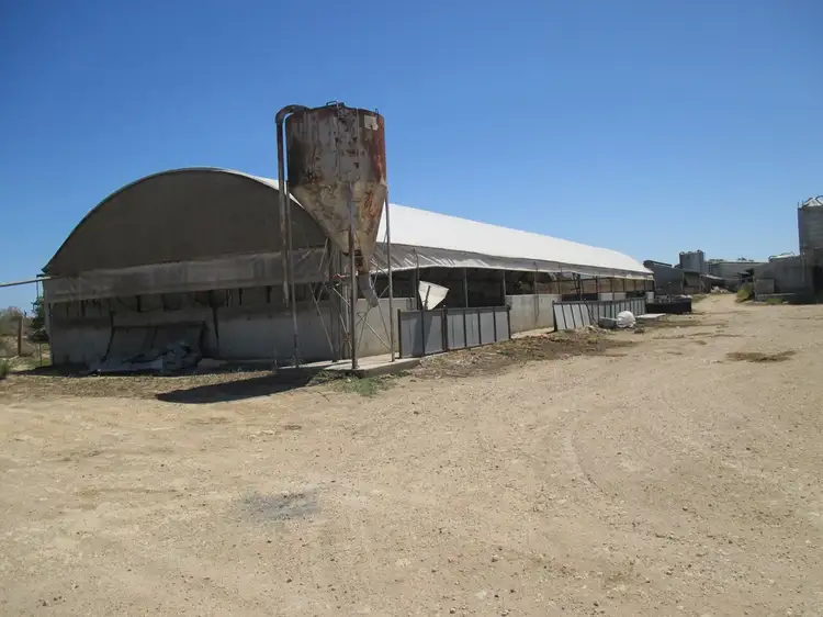 Fourth view of Homely rural property listing, 481 Jarvis Rd, Jervois SA 5259