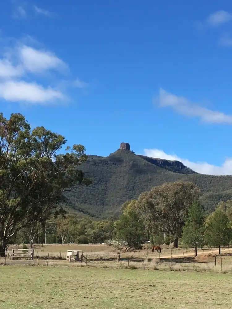 Seventh view of Homely rural property listing, 2647 Kaputar Road, Narrabri NSW 2390
