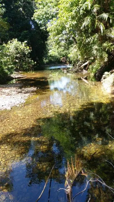 Main view of Homely house listing, 3 Cypress Road, Daintree QLD 4873