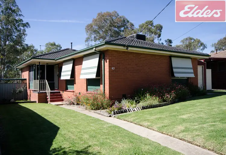 Main view of Homely house listing, 43 McFarland Road, Wodonga VIC 3690