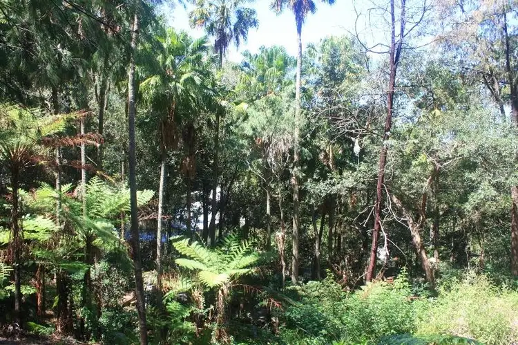 Seventh view of Homely land listing, 203 Phegans Bay Road, Phegans Bay NSW 2256