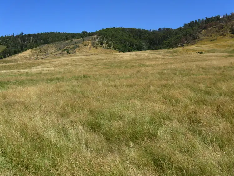 Fifth view of Homely land listing, "Kelly's" Omeo Valley Road, Omeo VIC 3898