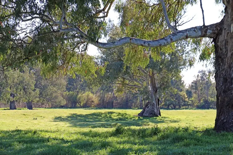 Fourth view of Homely rural property listing, 'The Island' Trabants Road, Bonegilla VIC 3691