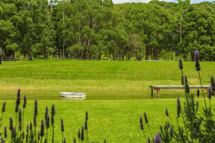 Sixth view of Homely house listing, 1025 Currumbin Creek Rd, Currumbin Valley QLD 4223