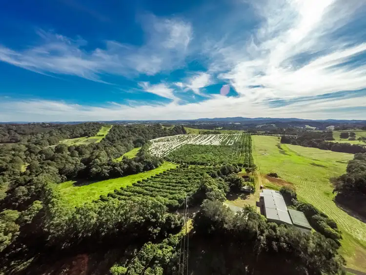 Third view of Homely rural property listing, 98 Rishworth Lane, Brooklet NSW 2479