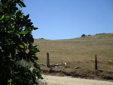 Third view of Homely land listing, 268 Macdonnell street, Springton SA 5235