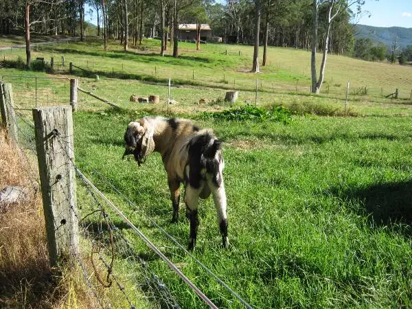 Sixth view of Homely rural property listing, Address available on request