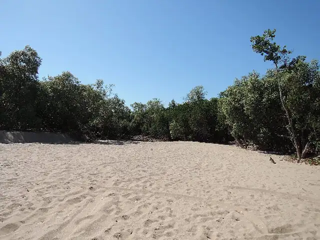 Sixth view of Homely land listing, Lot 9 Hencamp Creek Road, Rollingstone QLD 4816