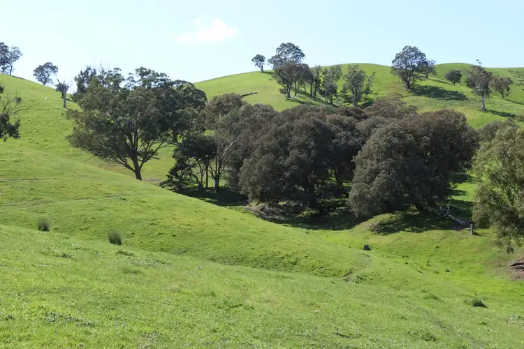 Seventh view of Homely rural property listing, 239 Murrindindi Road, Murrindindi VIC 3717