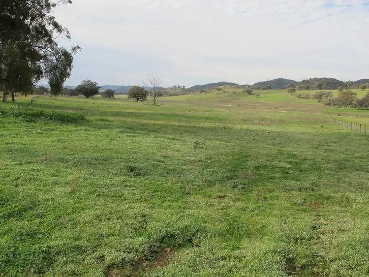 Third view of Homely rural property listing, 124 Hughes Lane, Mudgee NSW 2850