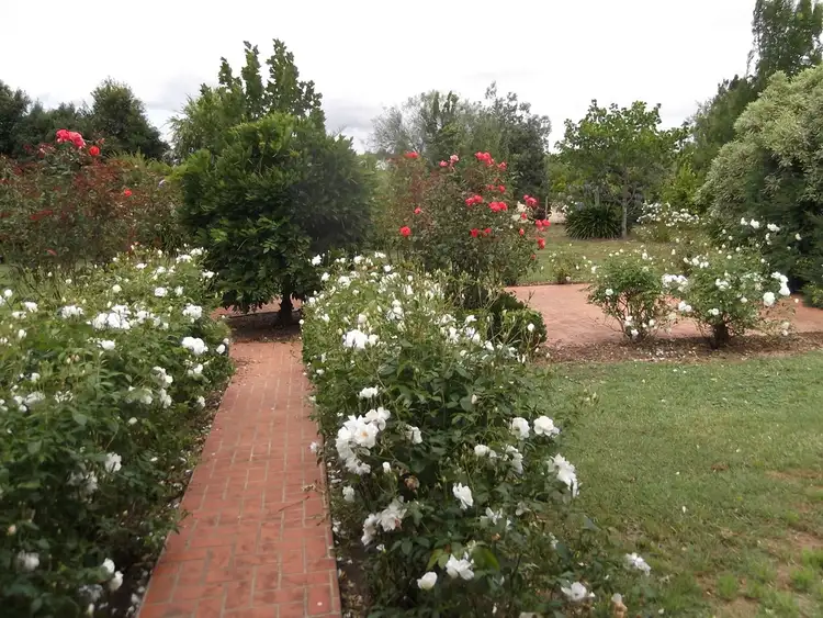 Fifth view of Homely house listing, 14 Timbarra Drive, Bairnsdale VIC 3875