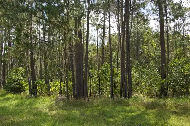 Third view of Homely land listing, 70 Read Street, Tewantin QLD 4565