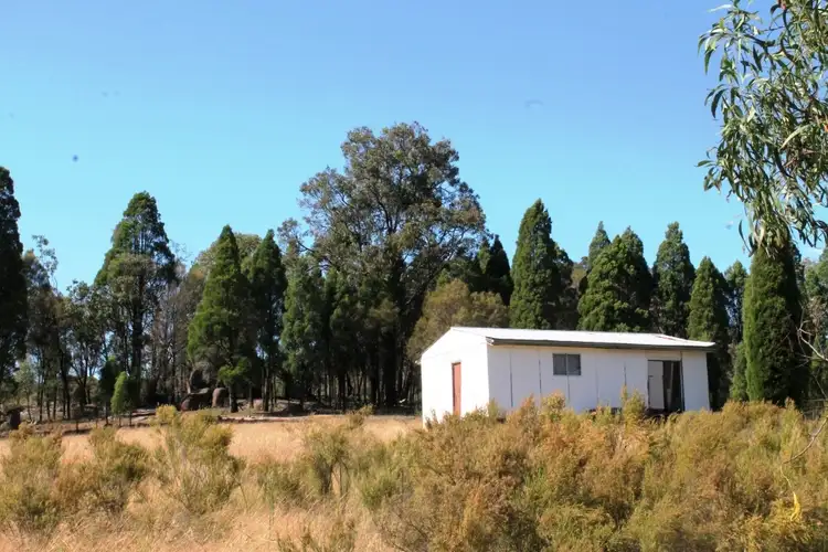 Fifth view of Homely rural property listing, 797 Ridge Rd, Mudgee NSW 2850