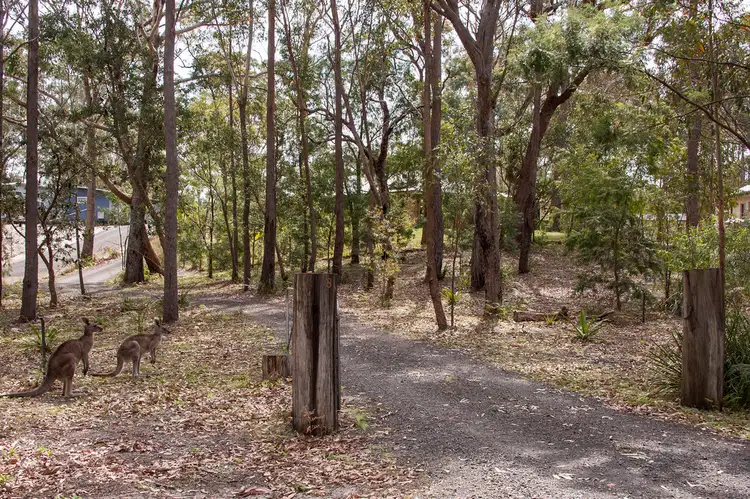 Fifth view of Homely house listing, 8 Sandgroper Crescent, Lake Conjola NSW 2539