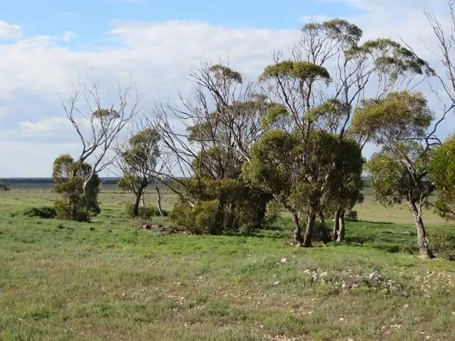 Fifth view of Homely rural property listing, Lot 53 Fauna Road, Brownlow SA 5374