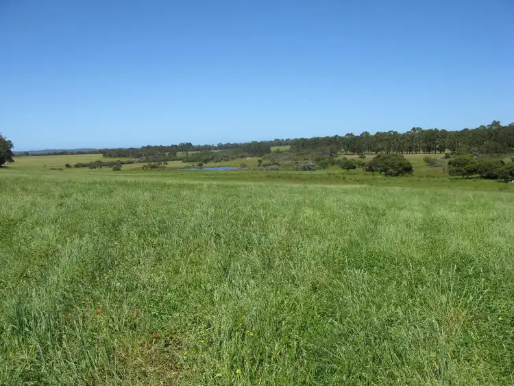Fifth view of Homely rural property listing, 420 South Coast Highway, Denmark WA 6333
