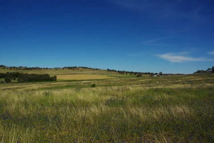 Second view of Homely land listing, 129 Tarrawingee Road, Mumbil NSW 2820