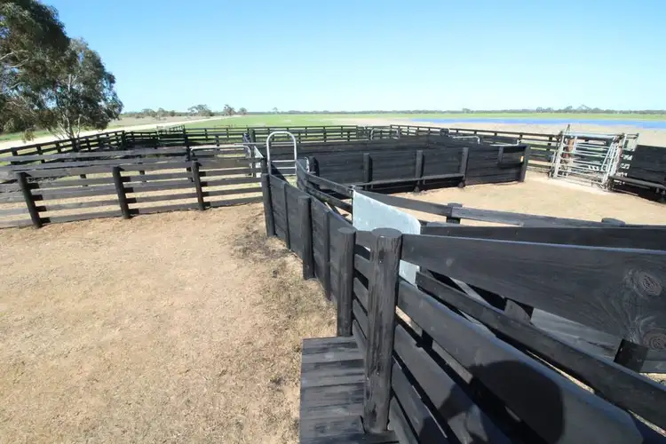 Second view of Homely rural property listing, 5 Moyhall Road, Naracoorte SA 5271