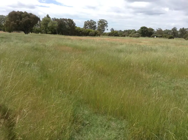 Third view of Homely rural property listing, Address available on request