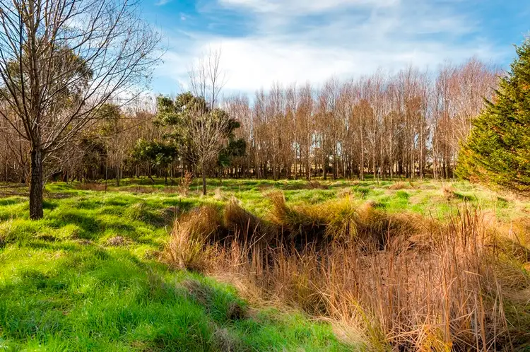 Third view of Homely land listing, Lot 1 The Willow Shack via Ebden Street, Carlsruhe VIC 3442