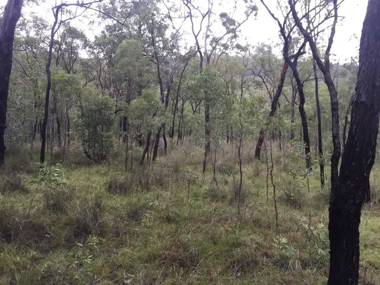 Seventh view of Homely land listing, Lot 37 BALDAW RD, Captain Creek QLD 4677