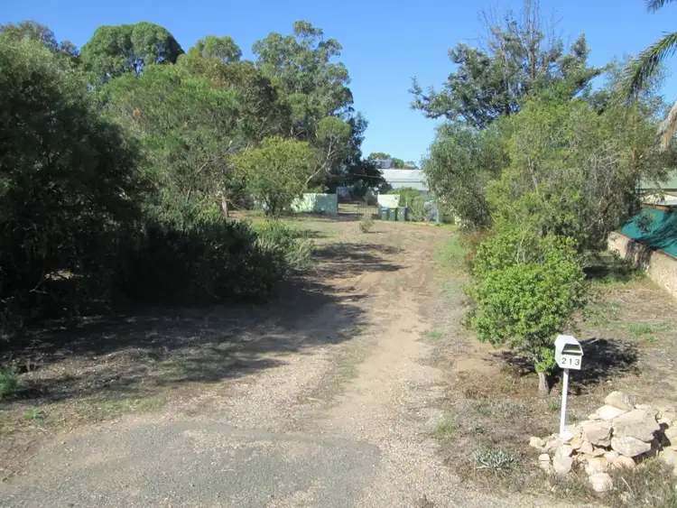 Fifth view of Homely house listing, 213 Mannum Road, Murray Bridge SA 5253