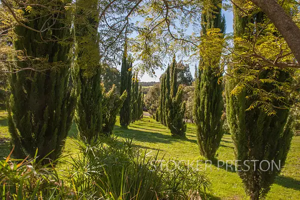 Seventh view of Homely house listing, 6 Freshwater Drive, Margaret River WA 6285