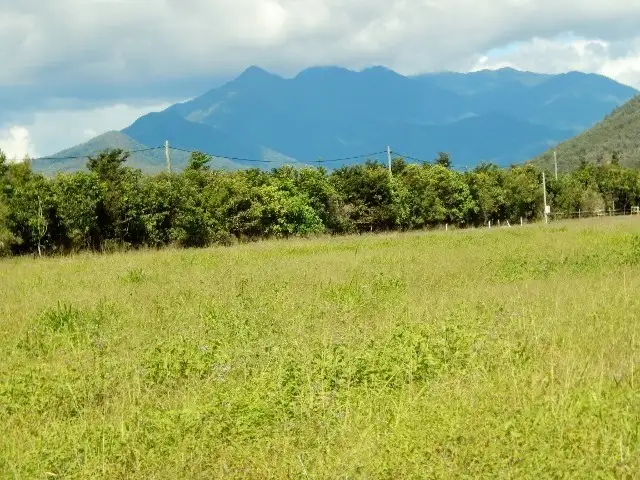 Seventh view of Homely land listing, LOT 12 ANDERSON RD, ALOOMBA, Gordonvale QLD 4865