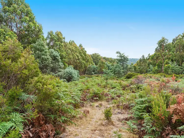 Fourth view of Homely rural property listing, 79 Marriotts Road, Ellendale TAS 7140