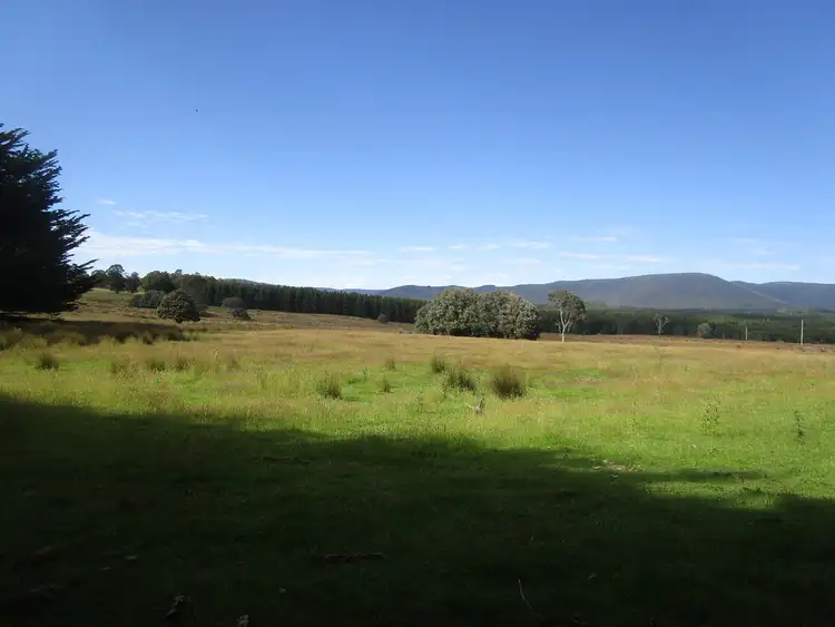 Fifth view of Homely rural property listing, - Loongana Road, Nietta TAS 7315