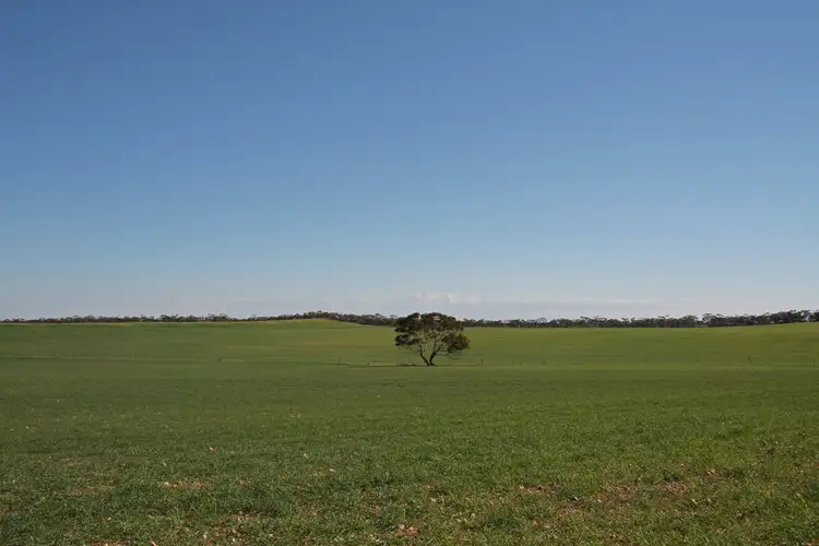 Second view of Homely rural property listing, Section 1 Hundred of Holder, Maggea SA 5311