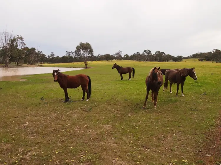 Third view of Homely rural property listing, 77 Gordon Lane, Nagambie VIC 3608