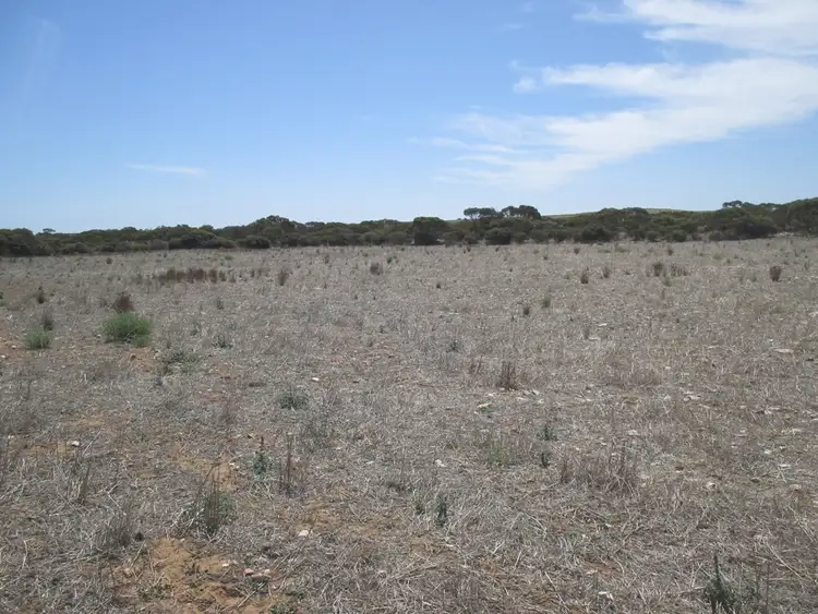 Fourth view of Homely rural property listing, A10 Karoonda Rd, Burdett SA 5253