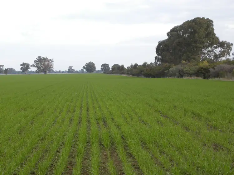 'Fairfield' 9517 Riverina Highway, Corowa NSW 2646