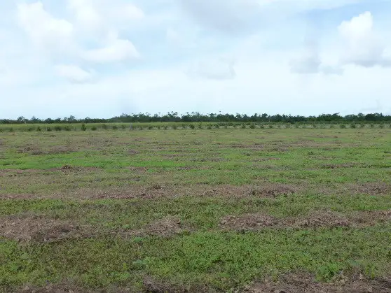 Fourth view of Homely rural property listing, Address available on request