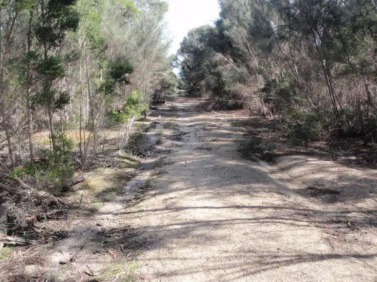 Third view of Homely rural property listing, Lot 1 Palana Road, Blue Rocks, Flinders Island TAS 7255