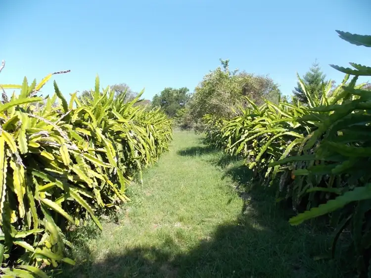 Fourth view of Homely land listing, 76 Brights Road, Nanango QLD 4615